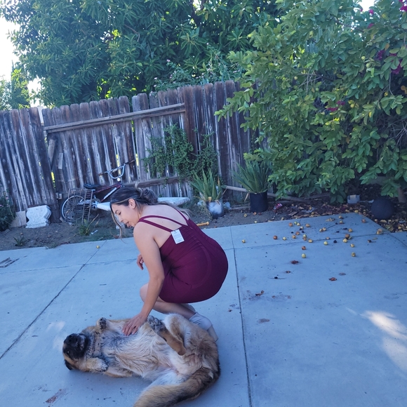 Angl stretch drees - Picture 10 of 11